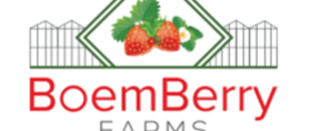 Featured boem berry logo   2019