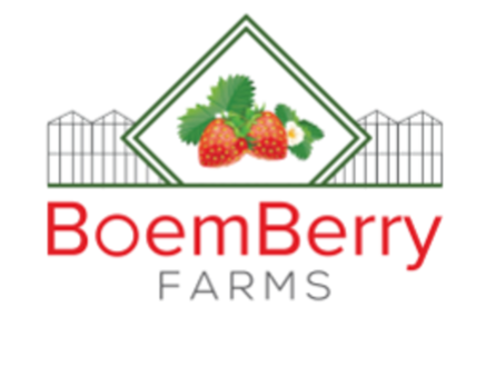 Large boem berry logo   2019