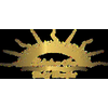 Thumb logo